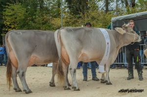 k-AR8I4451 v.l. Vize Miss OB Rino Dilia und Miss OB Rino Dalina beide Rene Stalder